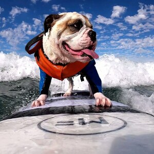 Fundraising Page: Surfdawg Rothstein